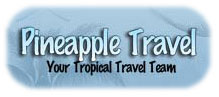 Pineapple Travel